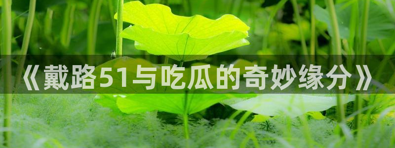 《戴路51与吃瓜的奇妙缘分》