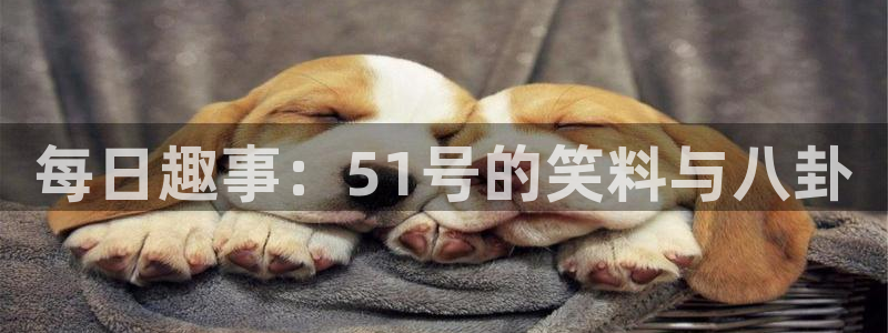 每日趣事：51号的笑料与八卦