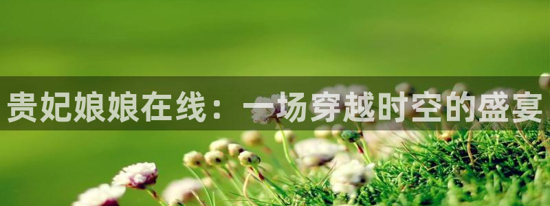 贵妃娘娘在线：一场穿越时空的盛宴