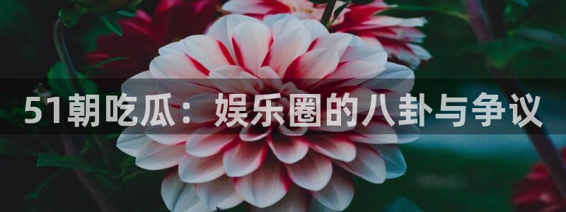 51朝吃瓜：娱乐圈的八卦与争议